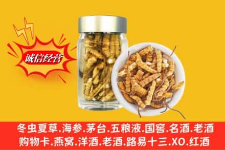 梅河口市回收散虫草